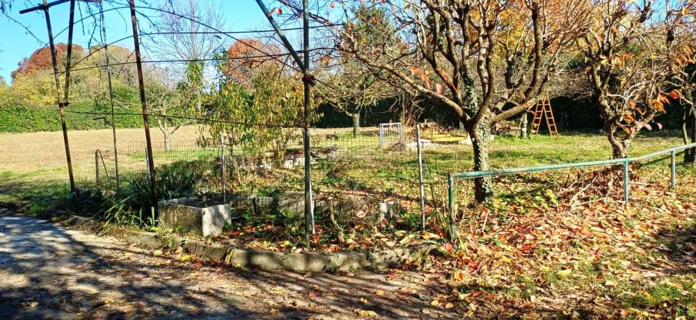 immagine annuncio 11 di 13