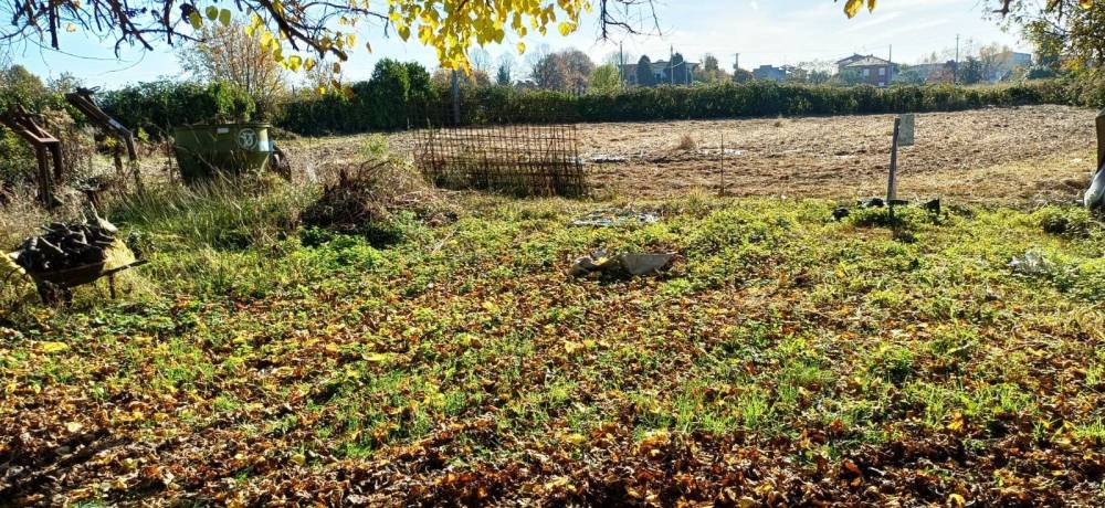 immagine annuncio 12 di 13