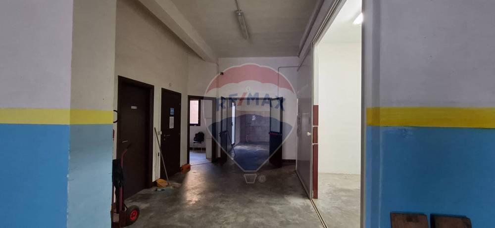 immagine annuncio 9 di 13