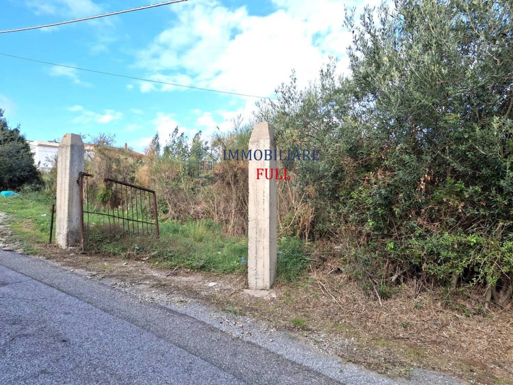 immagine annuncio 1 di 6