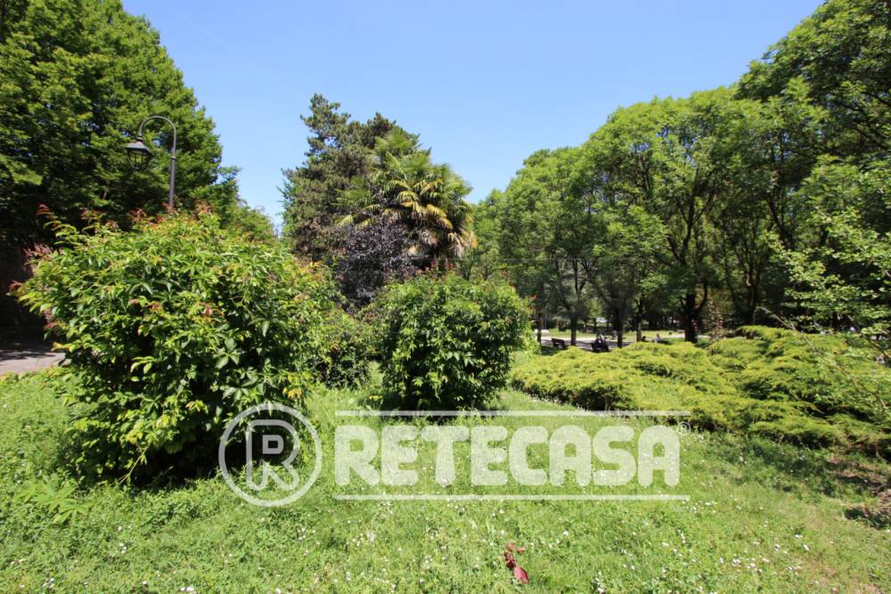 immagine annuncio 6 di 13