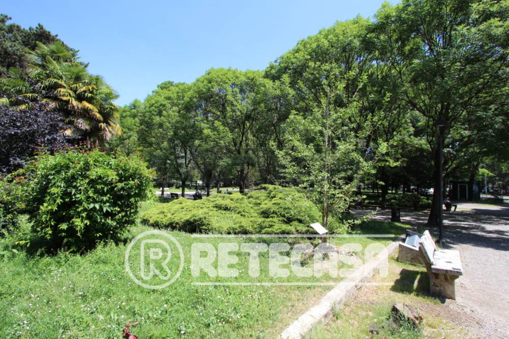 immagine annuncio 7 di 13