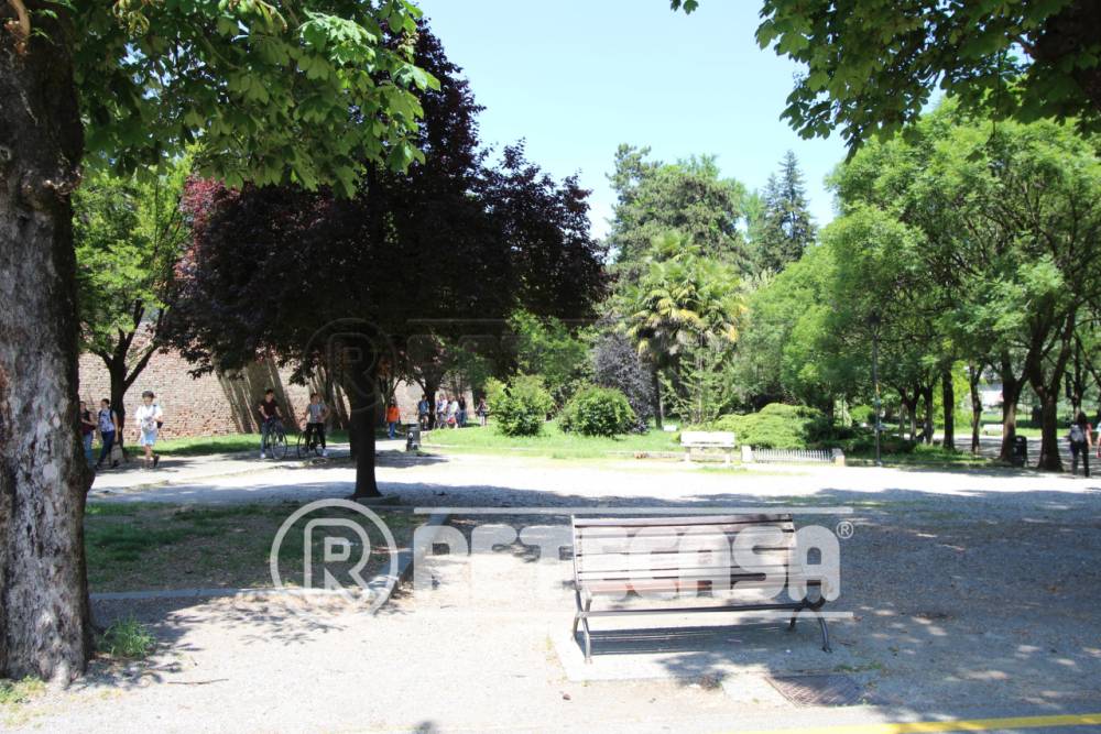 immagine annuncio 9 di 13