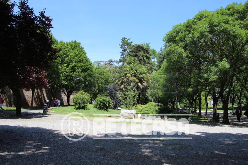 immagine annuncio 10 di 13