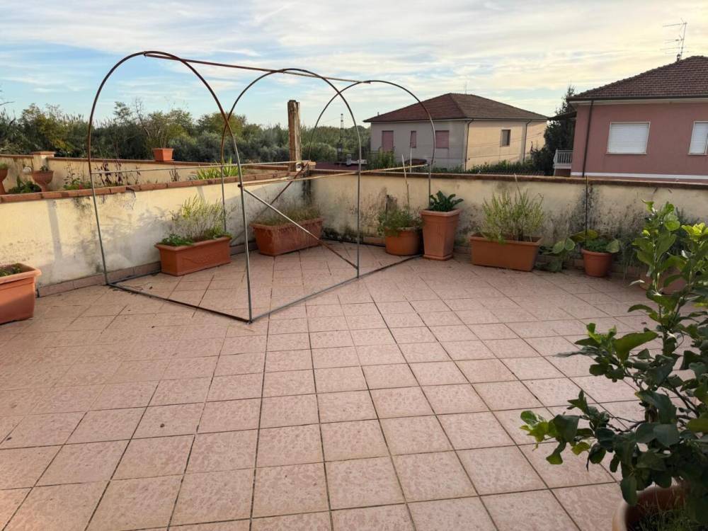 immagine annuncio 7 di 13