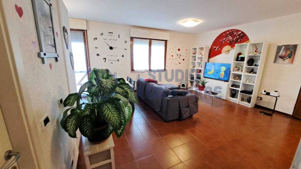 immagine annuncio 9 di 13