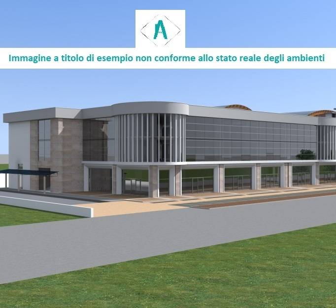 immagine annuncio 1 di 6