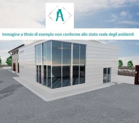 immagine annuncio 2 di 6