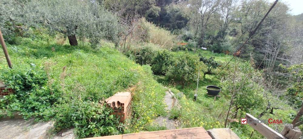 immagine annuncio 4 di 9