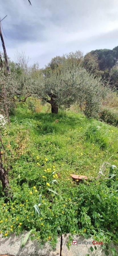 immagine annuncio 3 di 9