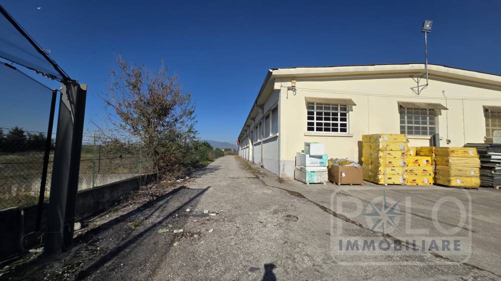 immagine annuncio 8 di 9