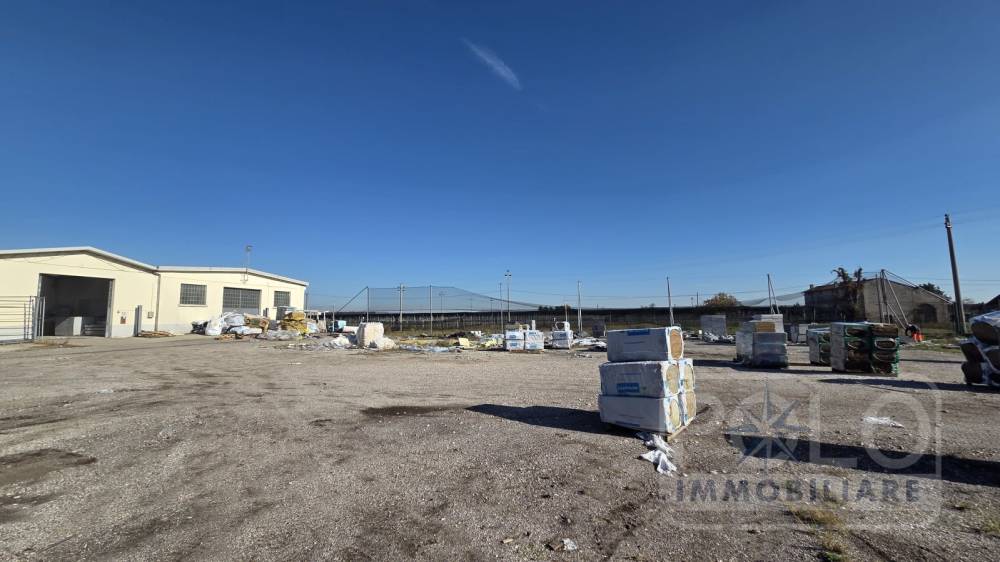 immagine annuncio 7 di 9