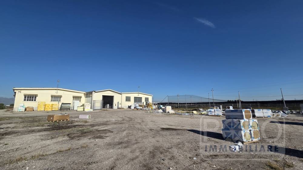 immagine annuncio 6 di 9