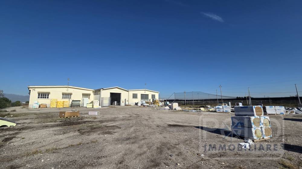 immagine annuncio 5 di 9