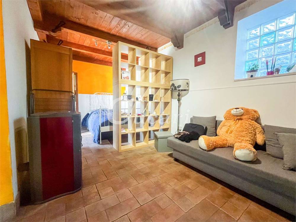 immagine annuncio 1 di 13