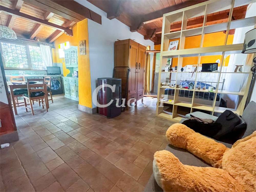 immagine annuncio 0 di 13