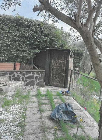 immagine annuncio 11 di 13