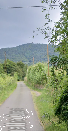 immagine annuncio 9 di 13