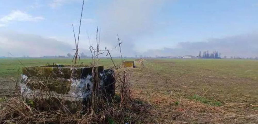 immagine annuncio 2 di 11