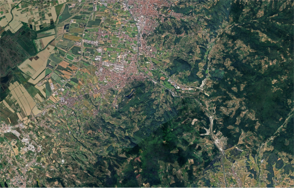 immagine annuncio 12 di 13