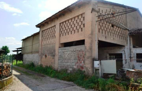 immagine annuncio 6 di 13