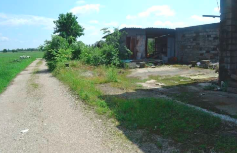 immagine annuncio 9 di 13