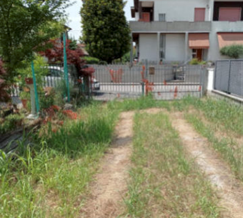 immagine annuncio 2 di 13