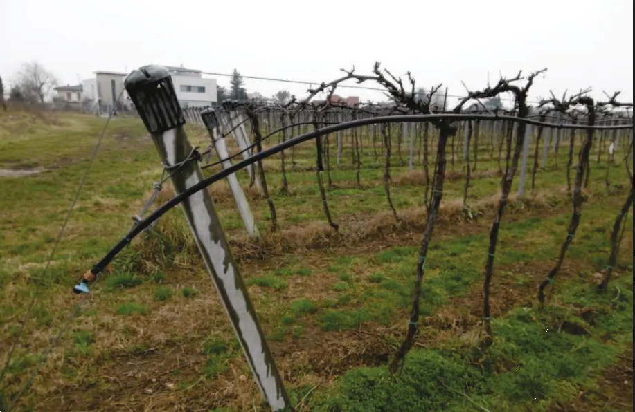 immagine annuncio 4 di 13