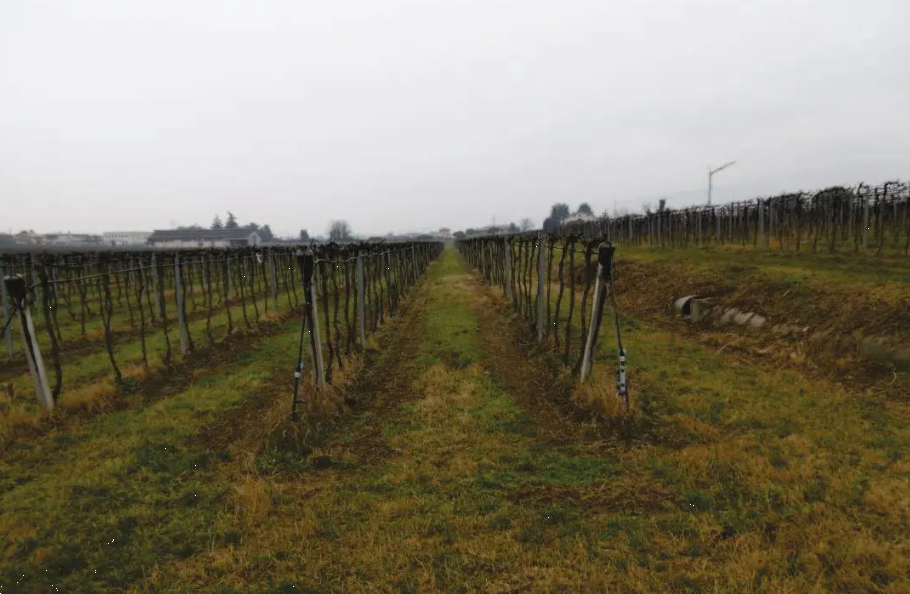 immagine annuncio 6 di 13