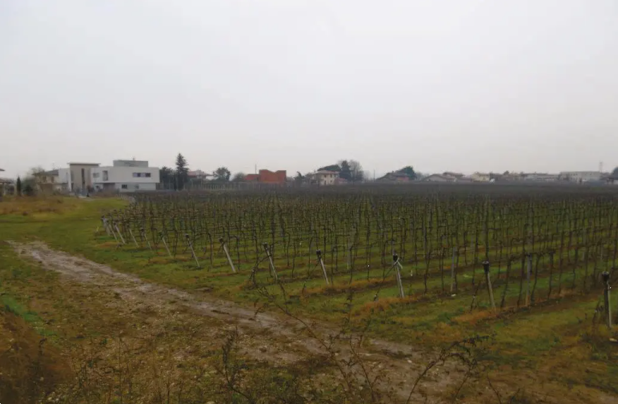 immagine annuncio 7 di 13