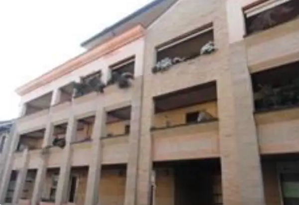 immagine annuncio 6 di 13