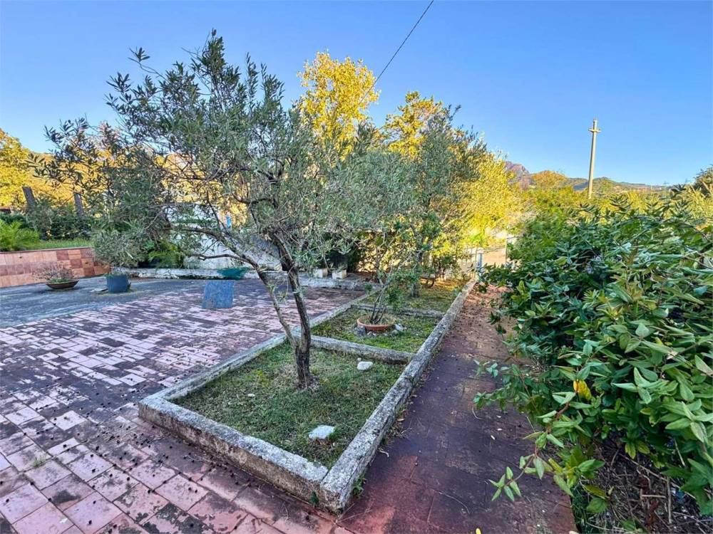 immagine annuncio 4 di 13