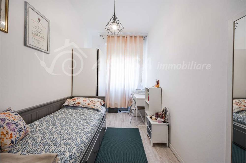 immagine annuncio 11 di 13