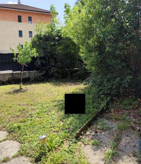 immagine annuncio 3 di 13