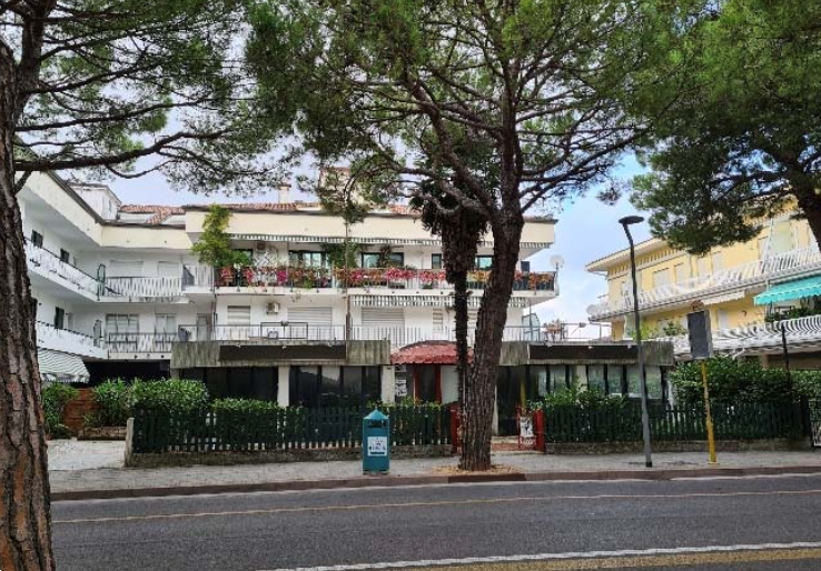 immagine annuncio 3 di 13