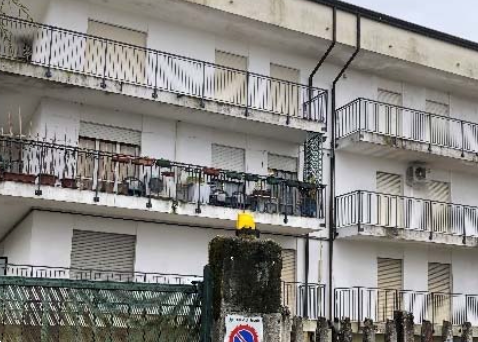 immagine annuncio 10 di 13