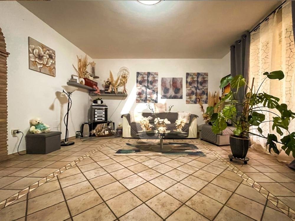 immagine annuncio 4 di 13