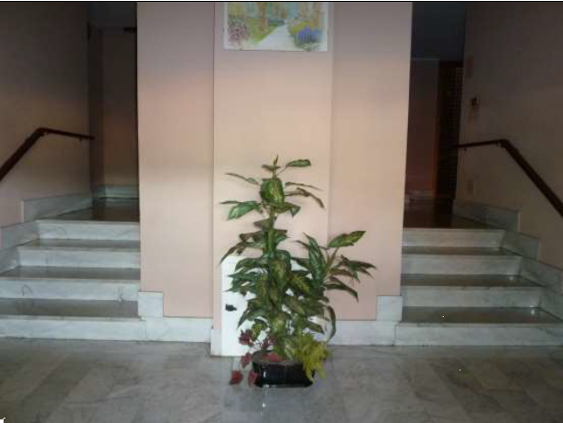 immagine annuncio 4 di 8