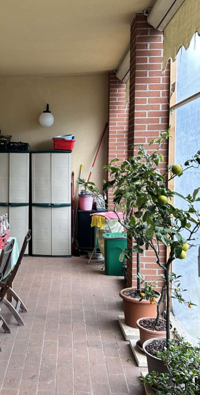 immagine annuncio 3 di 13