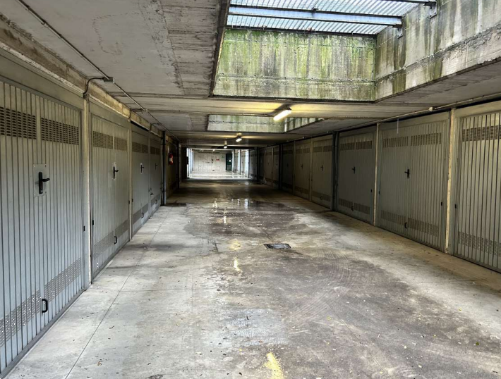 immagine annuncio 12 di 13