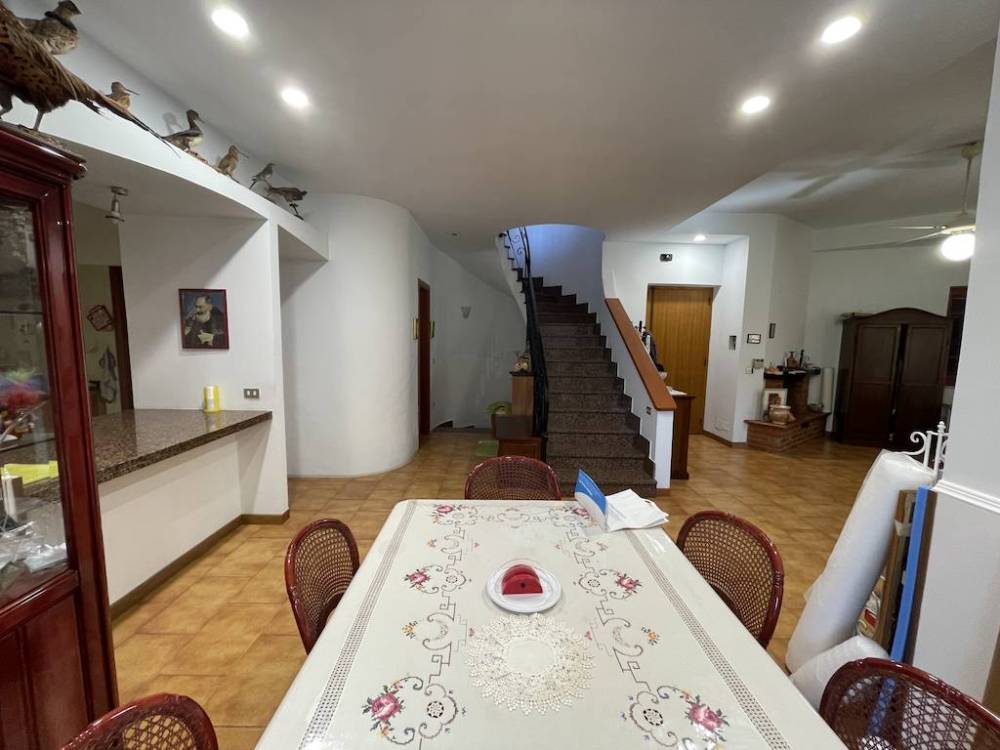 immagine annuncio 7 di 13