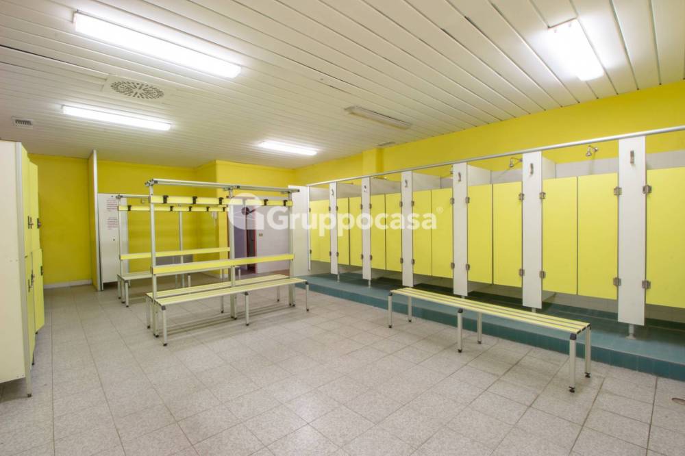 immagine annuncio 7 di 13