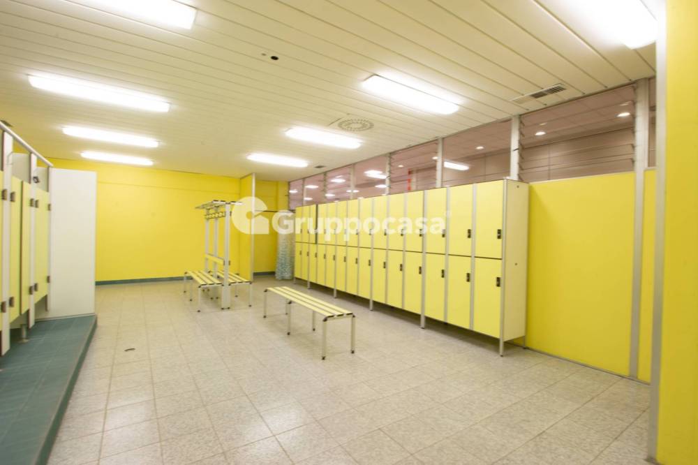 immagine annuncio 10 di 13