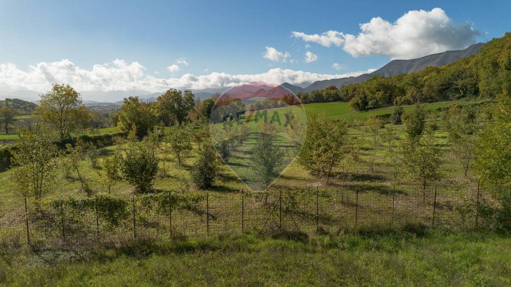 immagine annuncio 8 di 9