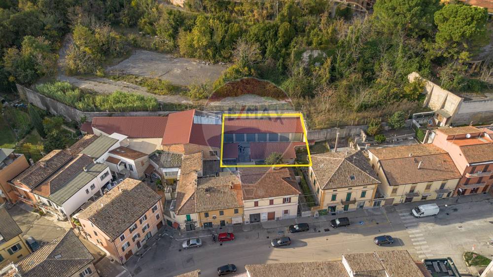 immagine annuncio 12 di 13