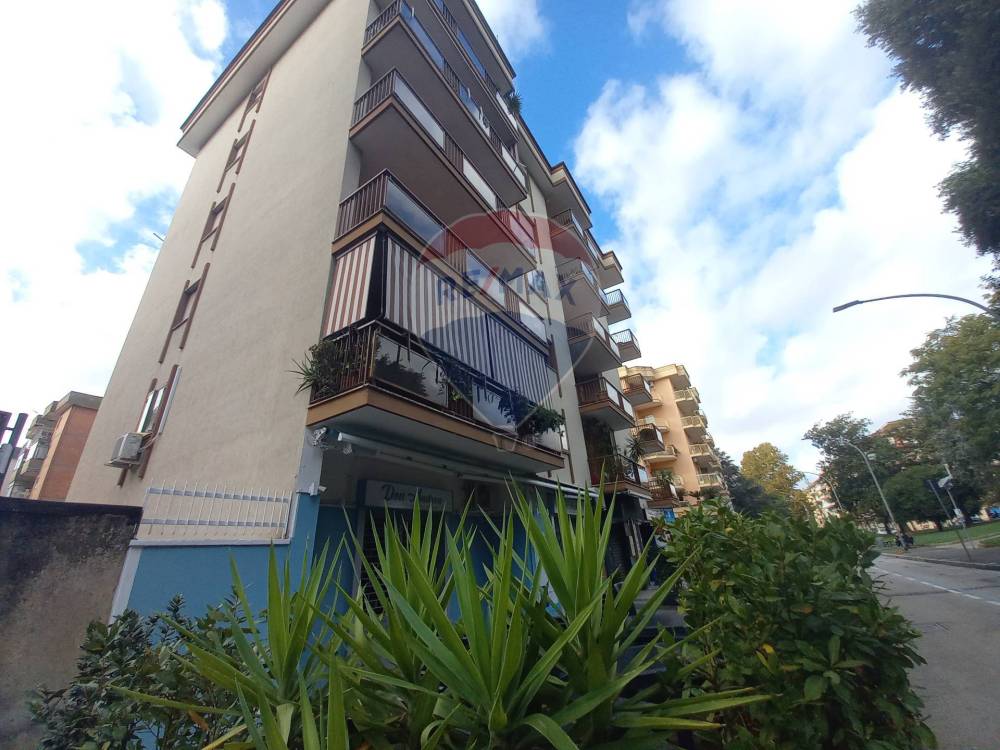 immagine annuncio 5 di 8