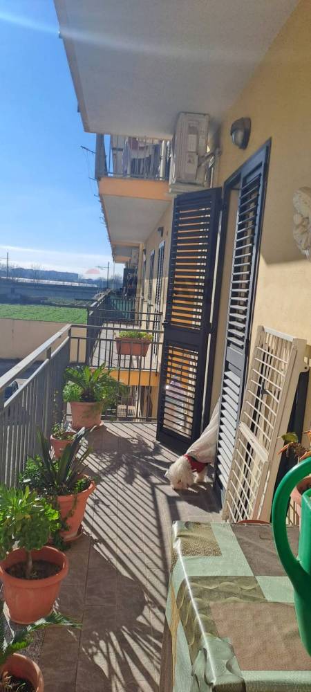 immagine annuncio 8 di 13