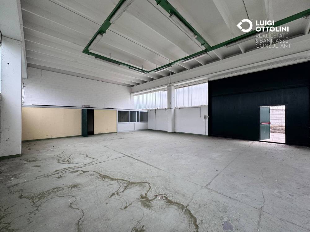 immagine annuncio 3 di 13