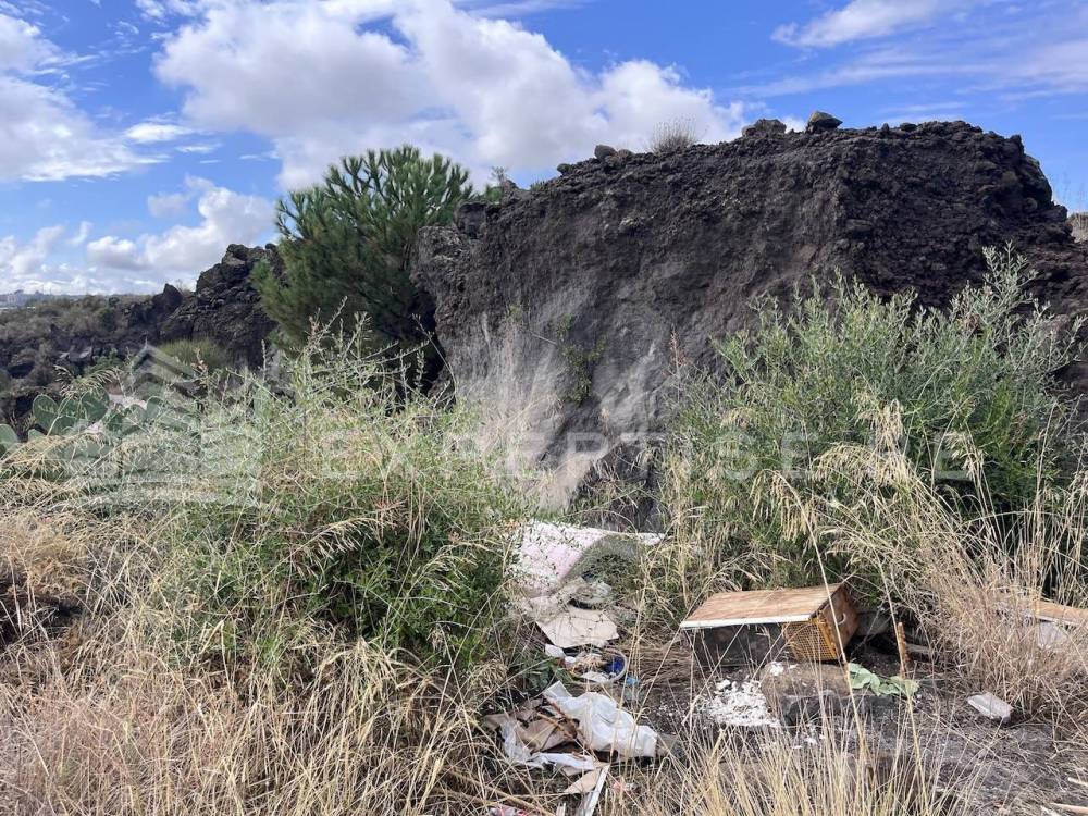 immagine annuncio 7 di 13