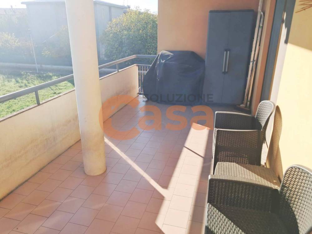 immagine annuncio 4 di 13